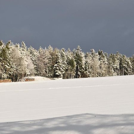 Villa Rosa Pfreimd Екстер'єр фото